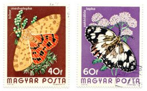 Briefmarken Schmetterlinge Ungarn