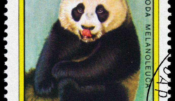 Briefmarke Ungarn, Panda