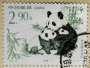 Panda-Briefmarke aus China