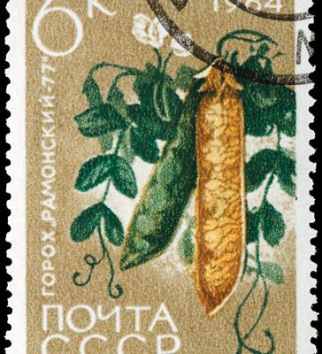 Gemüse Briefmarke UdSSR