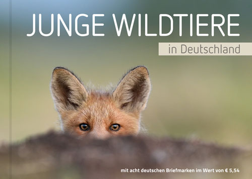 Tierbabys: Markenbuch Junge Wildtiere in Deutschland